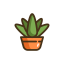 aloe vera icon
